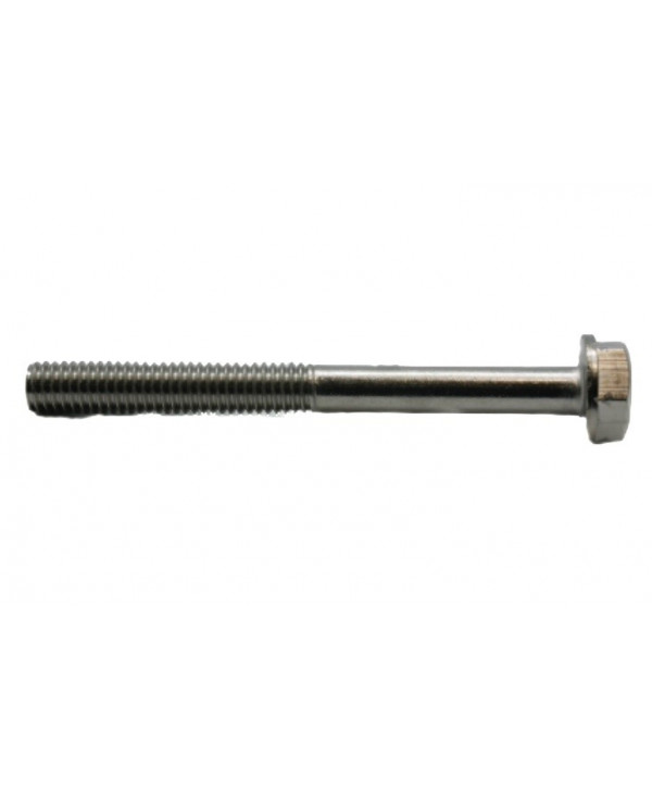 Tornillo inox. para fijar el pistón CAT 5CP2150W