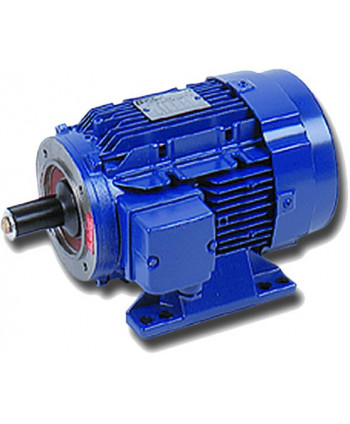 Motor 10 CV (7,5 KW) 1500rpm