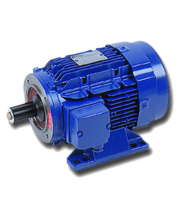 Motor 10 CV (7,5 KW) 1500rpm