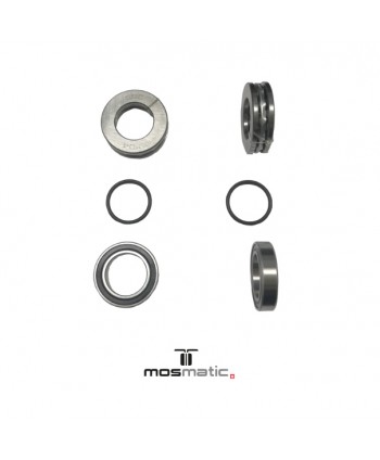 Bearing Set for Mosmatic DYT/DYU NW6+9