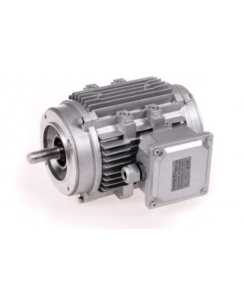 Motor 0,37 KW 1500 RPM 230/400V Without ventilation