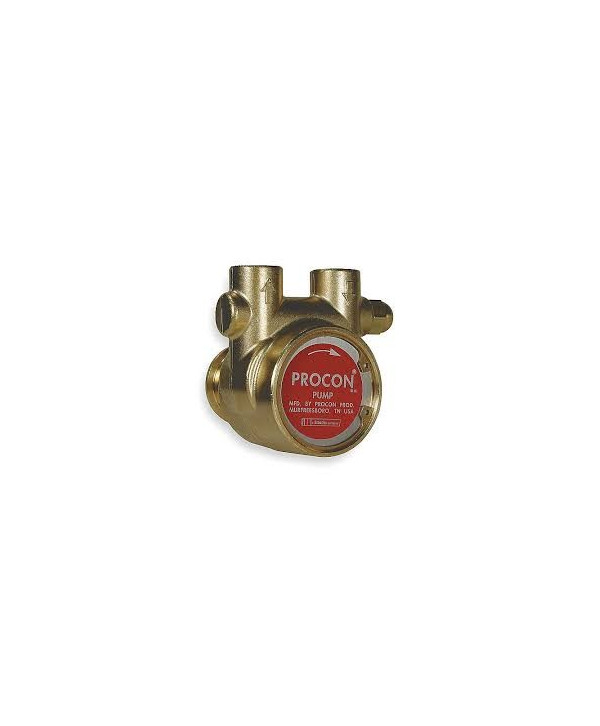 Rotary pump-bronze 200 l/h with bypass