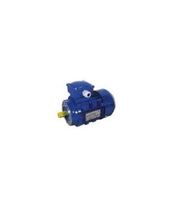 Motore monofase 0.50 HP per il rotary 200-400