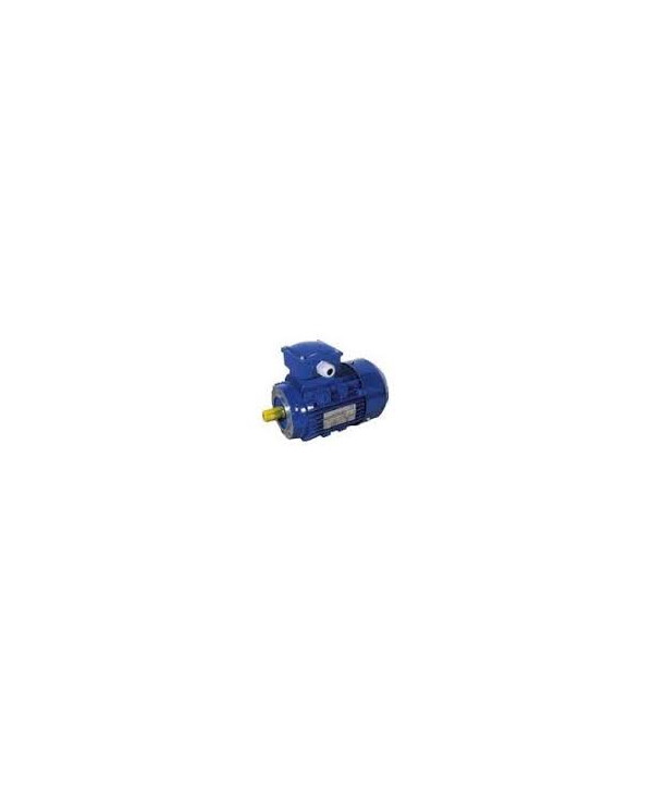 Motore monofase 0.50 HP per il rotary 200-400